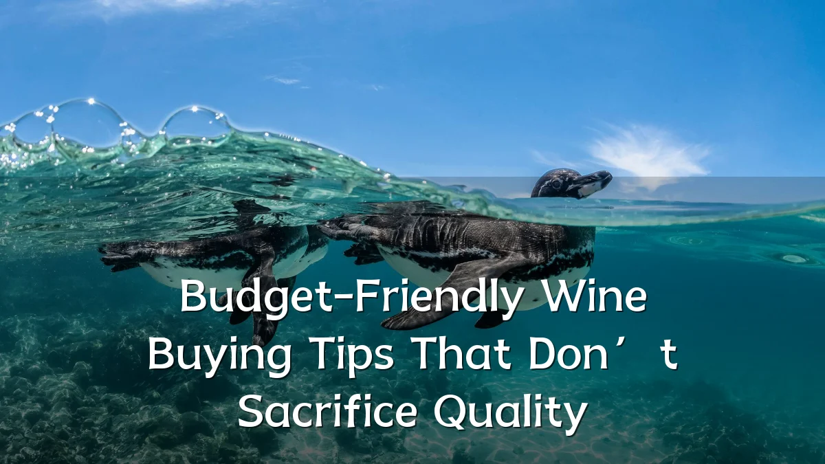 Budget-Friendly Wine Buying Tips That Don’t Sacrifice Quality