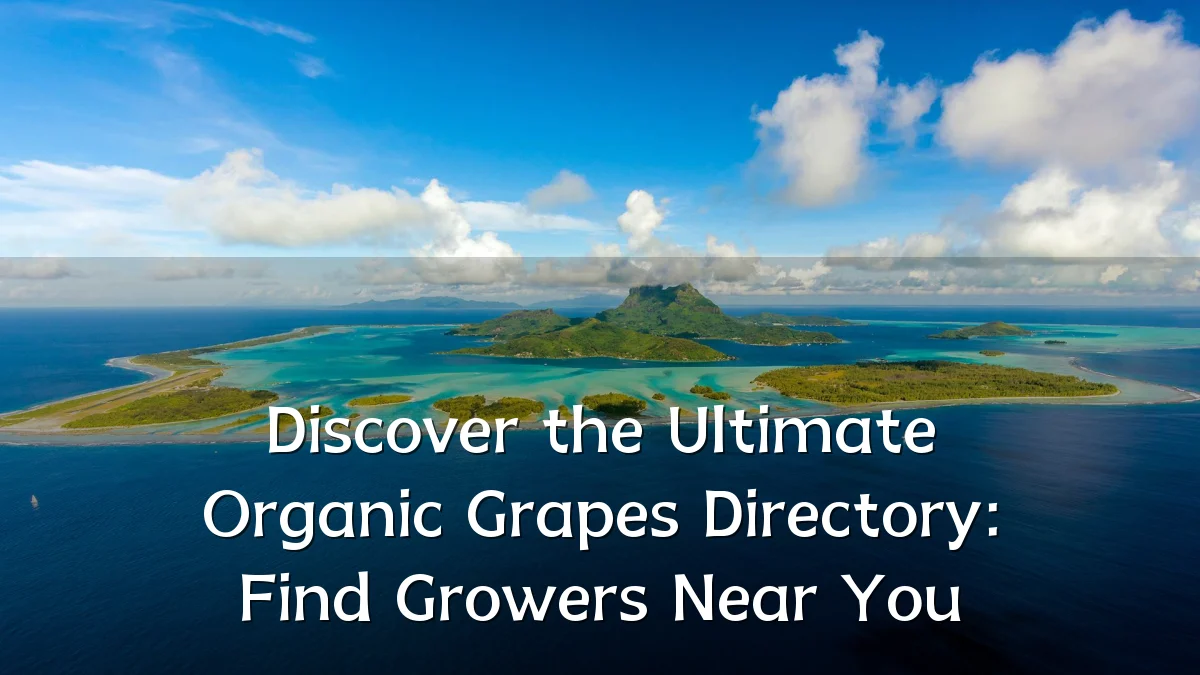 Discover the Ultimate Organic Grapes Directory: Find Growers Near You