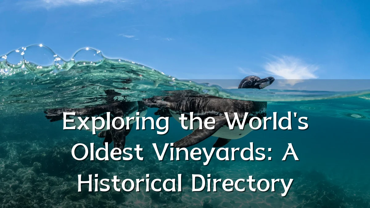 Exploring the World's Oldest Vineyards: A Historical Directory