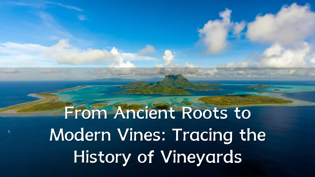 From Ancient Roots to Modern Vines: Tracing the History of Vineyards
