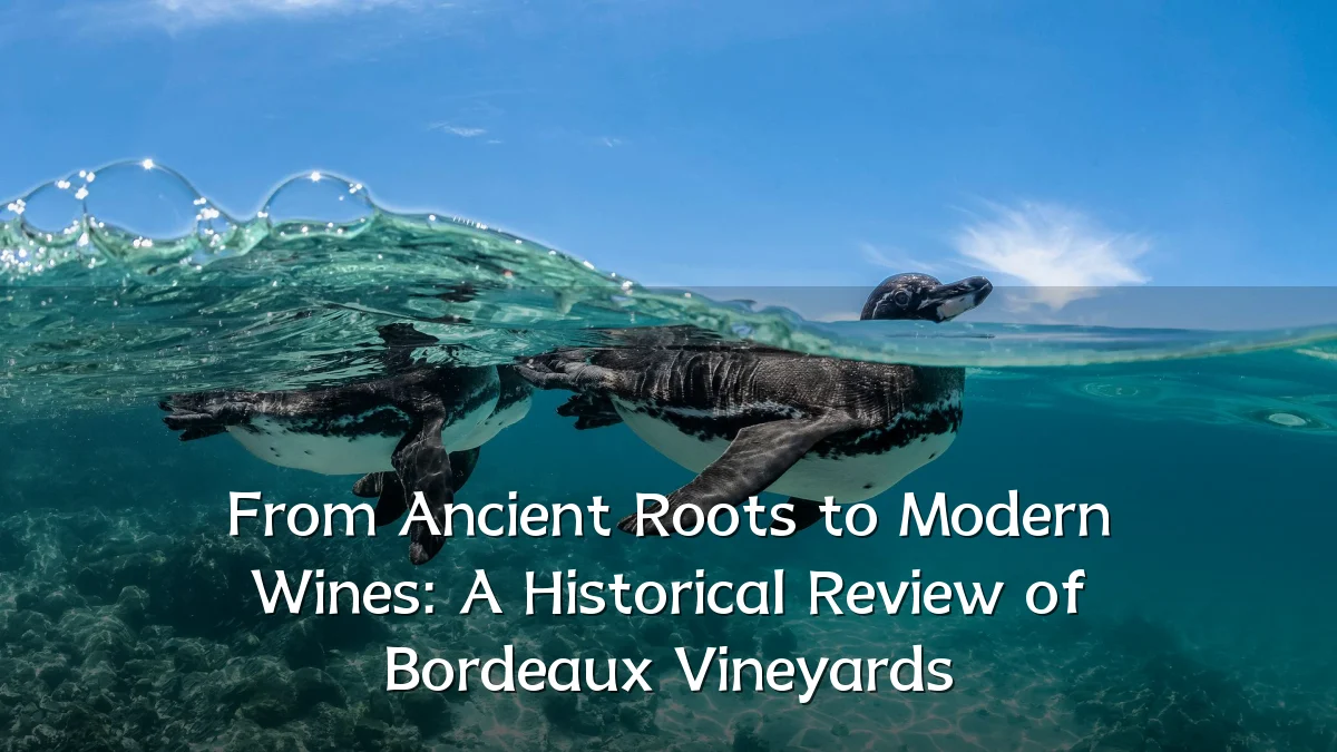 From Ancient Roots to Modern Wines: A Historical Review of Bordeaux Vineyards