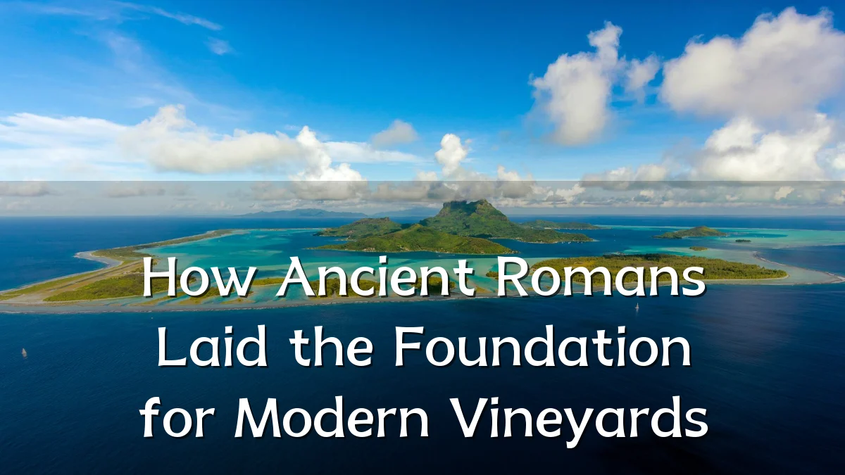 How Ancient Romans Laid the Foundation for Modern Vineyards