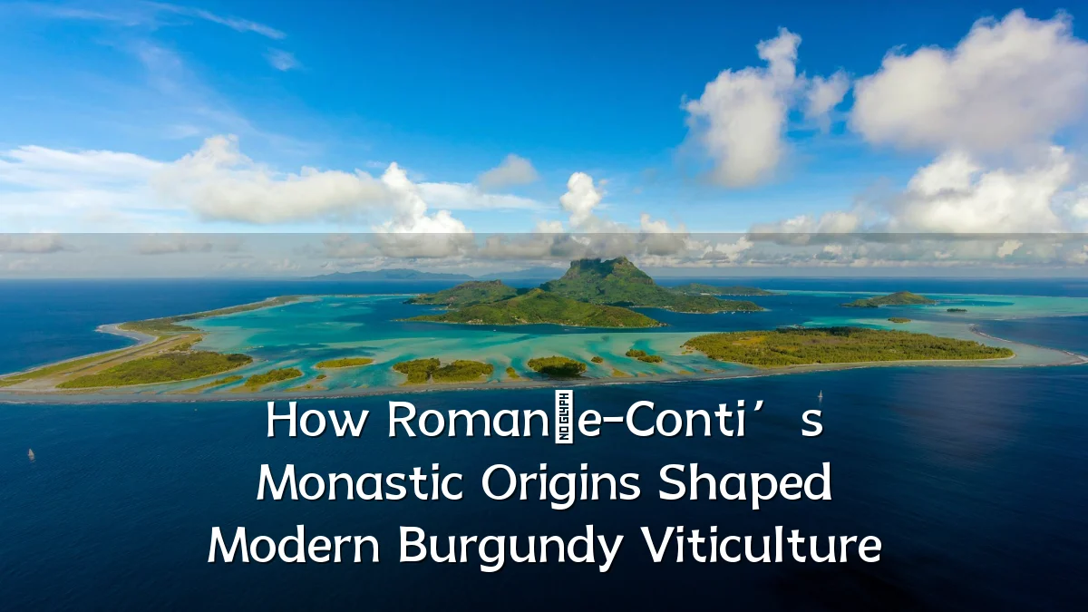How Romanée-Conti’s Monastic Origins Shaped Modern Burgundy Viticulture