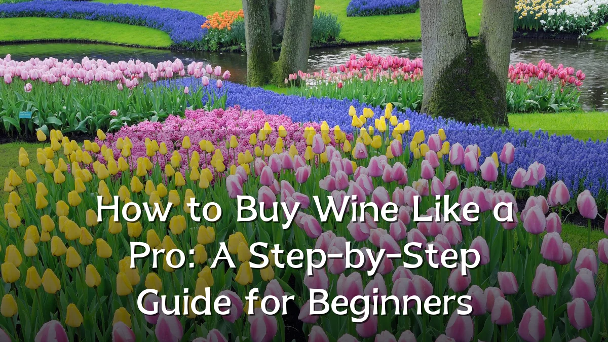 How to Buy Wine Like a Pro: A Step-by-Step Guide for Beginners