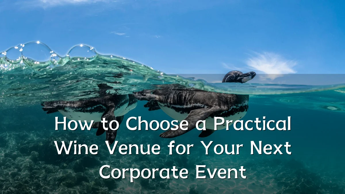 How to Choose a Practical Wine Venue for Your Next Corporate Event