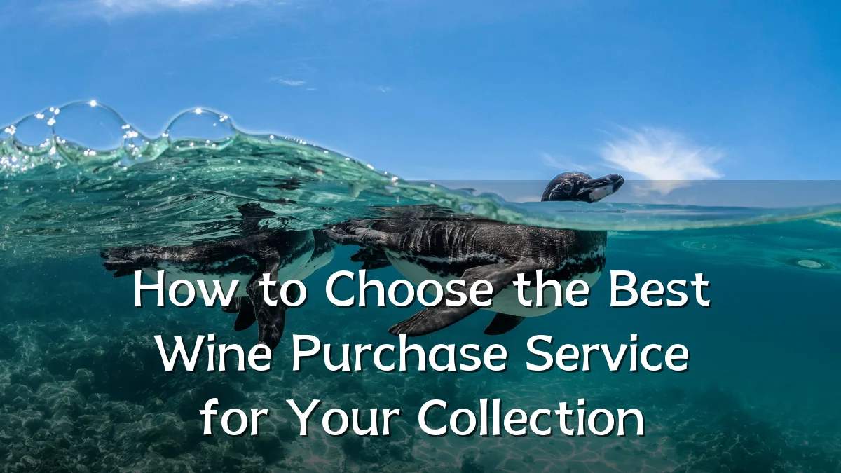 How to Choose the Best Wine Purchase Service for Your Collection