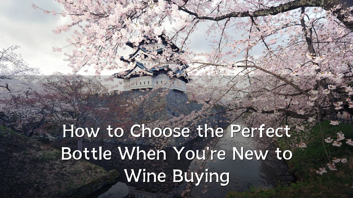 How to Choose the Perfect Bottle When You're New to Wine Buying