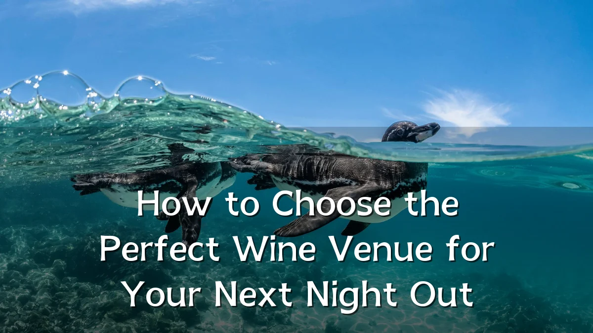 How to Choose the Perfect Wine Venue for Your Next Night Out