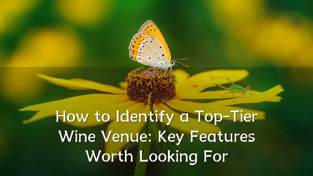 How to Identify a Top-Tier Wine Venue: Key Features Worth Looking For