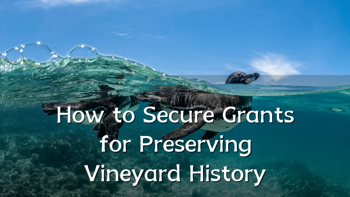 How to Secure Grants for Preserving Vineyard History