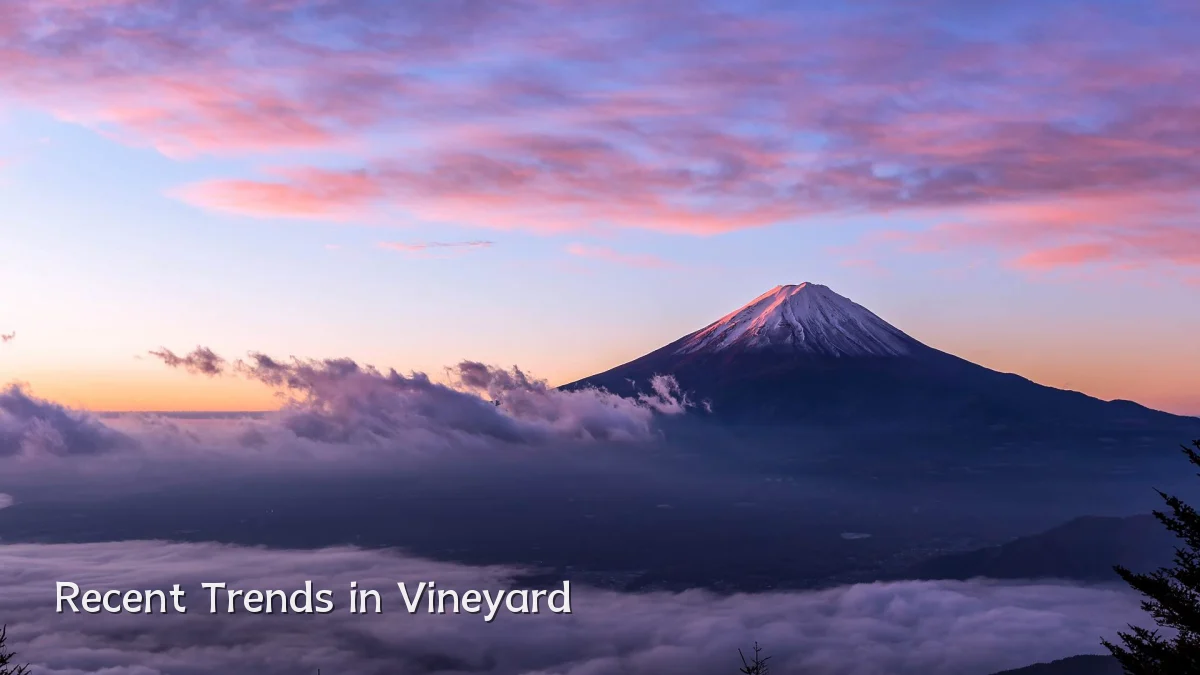 Recent Trends in Vineyard