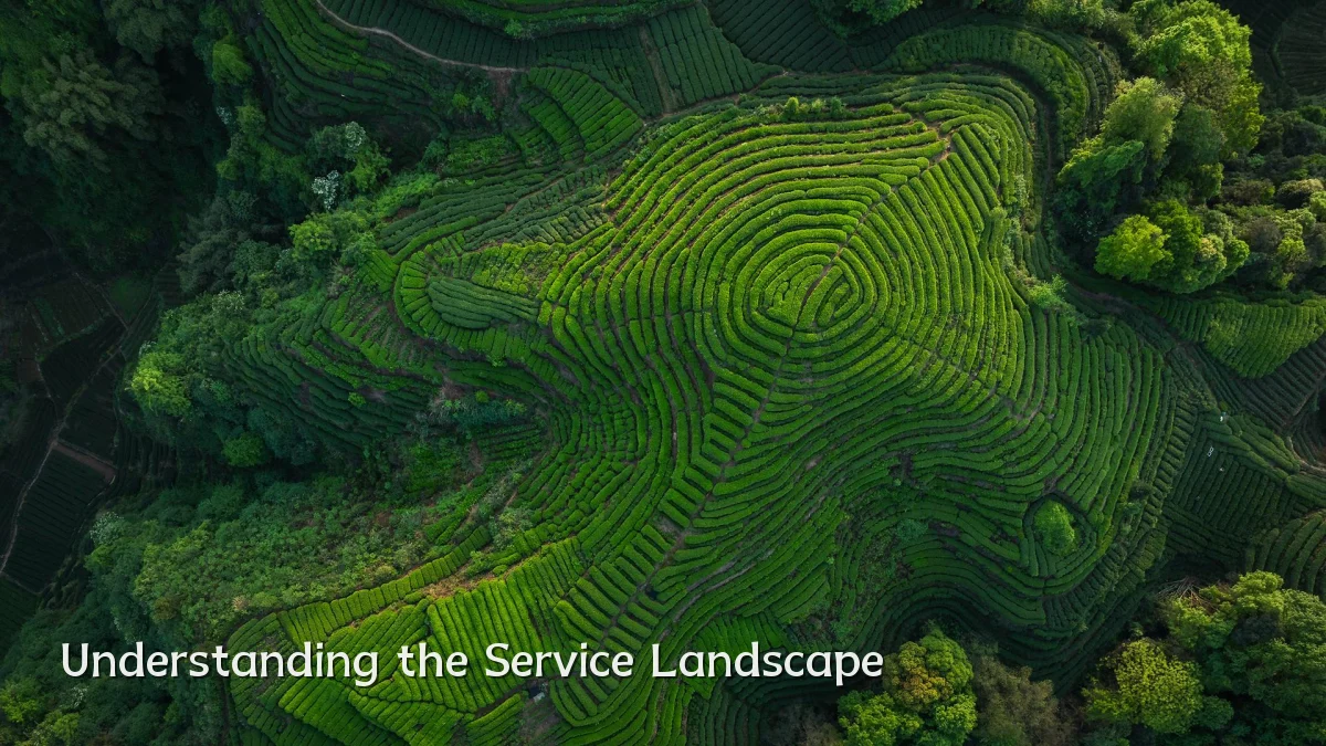 Understanding the Service Landscape