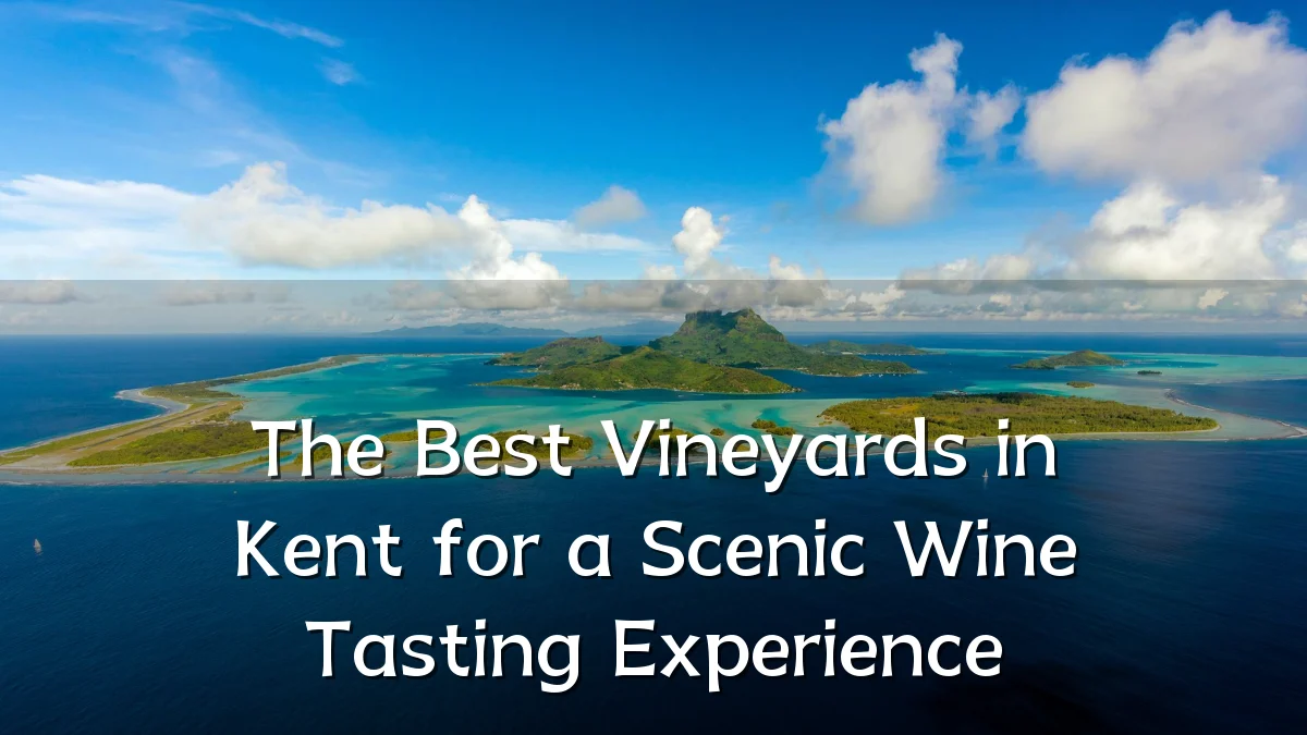 The Best Vineyards in Kent for a Scenic Wine Tasting Experience