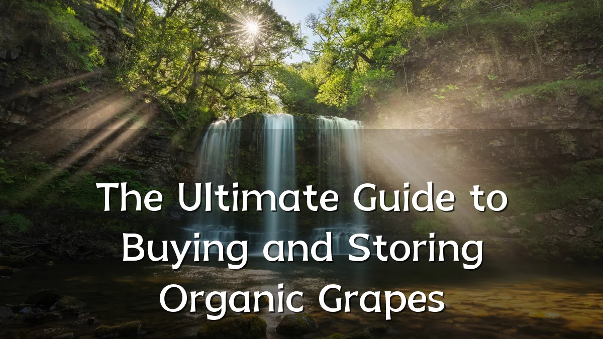 The Ultimate Guide to Buying and Storing Organic Grapes