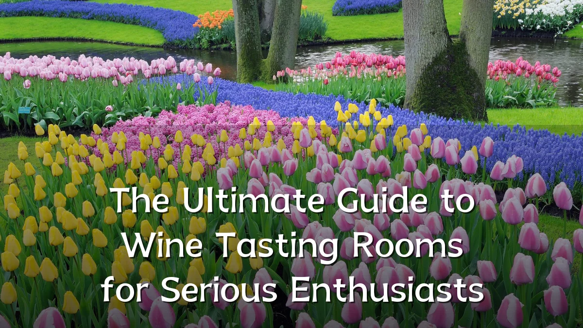 The Ultimate Guide to Wine Tasting Rooms for Serious Enthusiasts