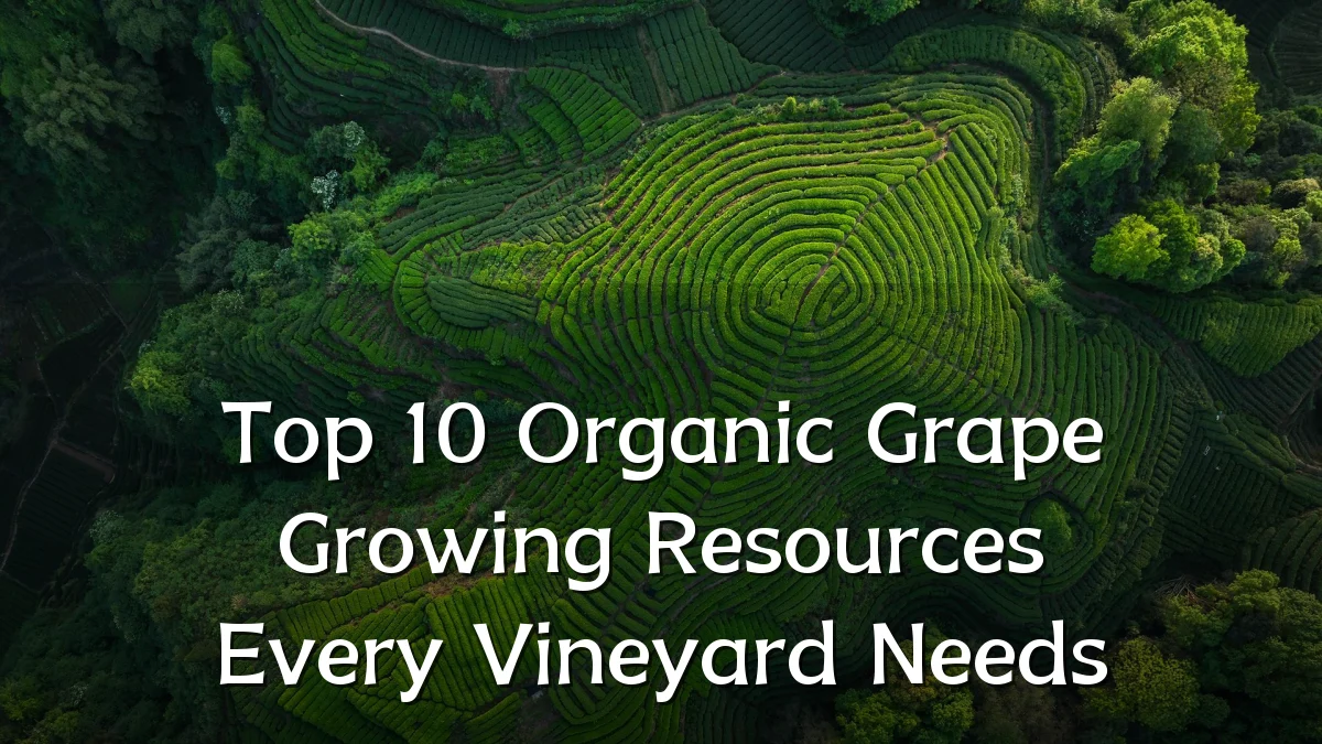Top 10 Organic Grape Growing Resources Every Vineyard Needs