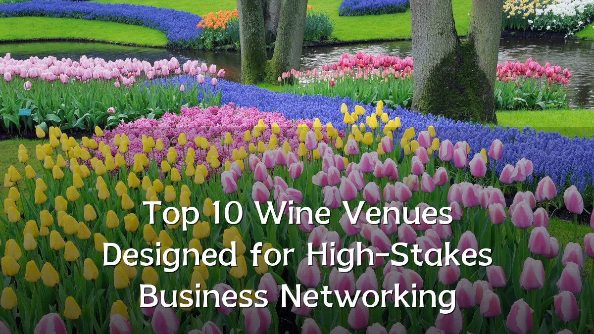 Top 10 Wine Venues Designed for High-Stakes Business Networking