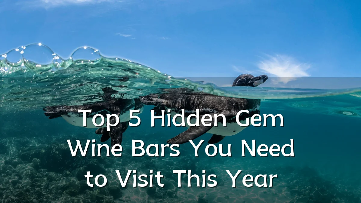 Top 5 Hidden Gem Wine Bars You Need to Visit This Year