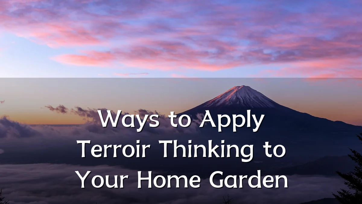 Ways to Apply Terroir Thinking to Your Home Garden