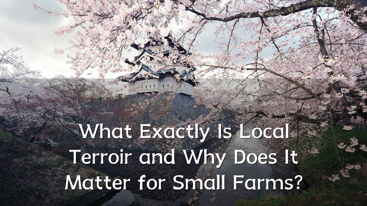What Exactly Is Local Terroir and Why Does It Matter for Small Farms?