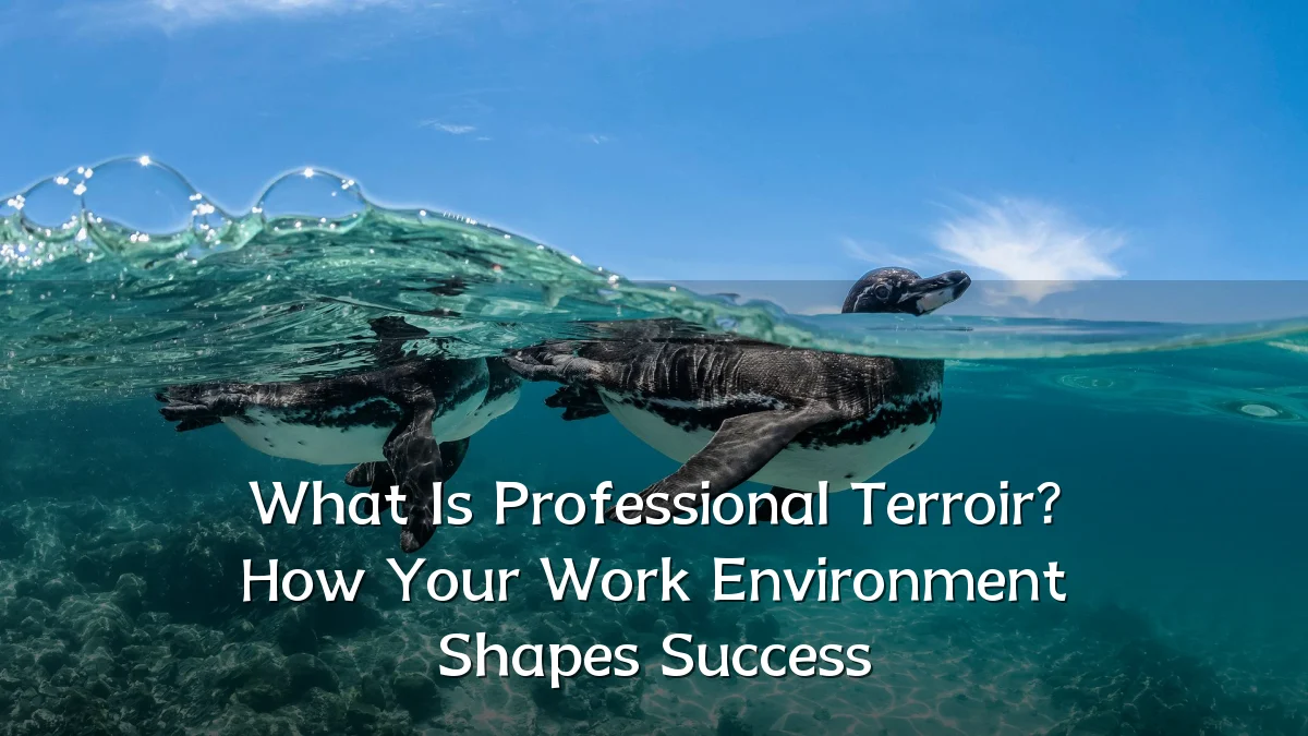 What Is Professional Terroir? How Your Work Environment Shapes Success
