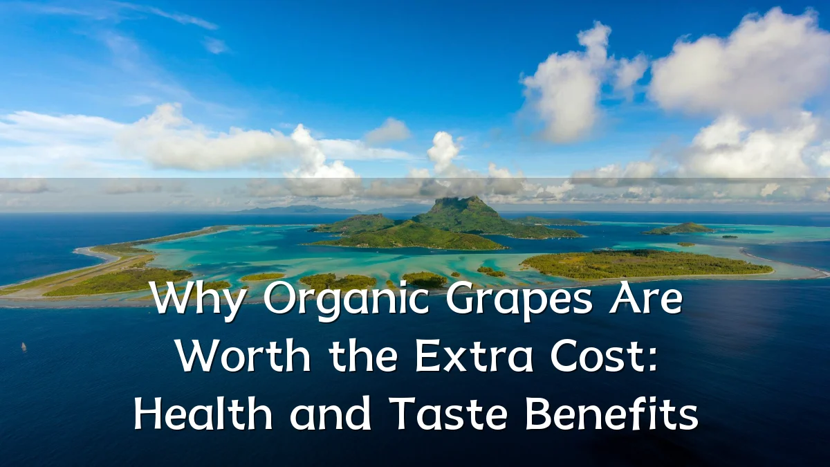 Why Organic Grapes Are Worth the Extra Cost: Health and Taste Benefits