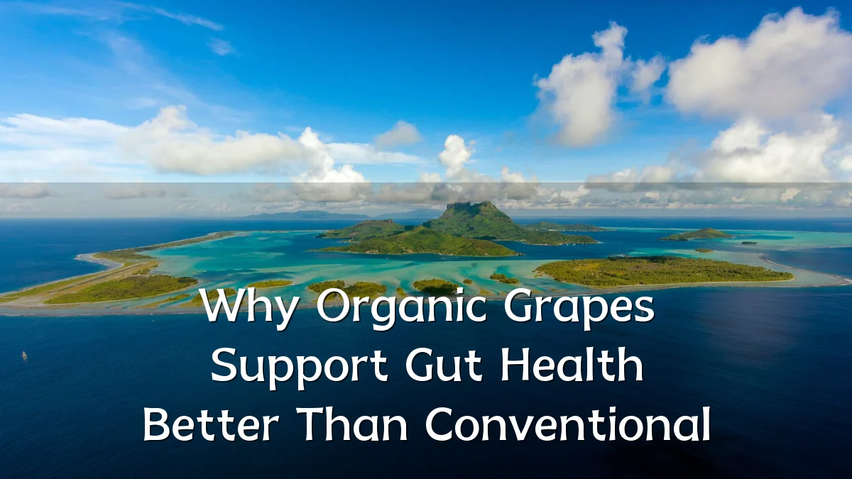 Why Organic Grapes Support Gut Health Better Than Conventional