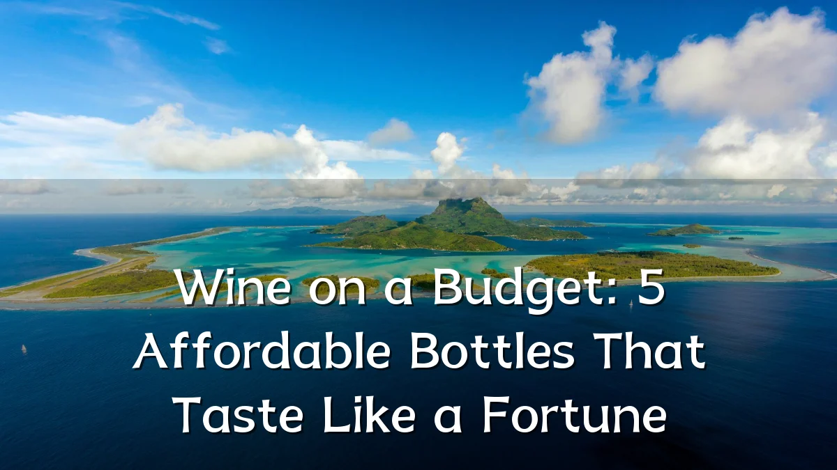 Wine on a Budget: 5 Affordable Bottles That Taste Like a Fortune